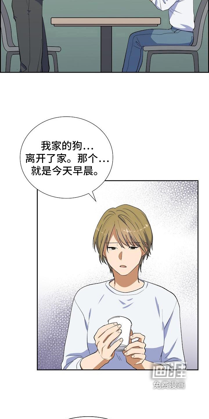 第17章：找狗