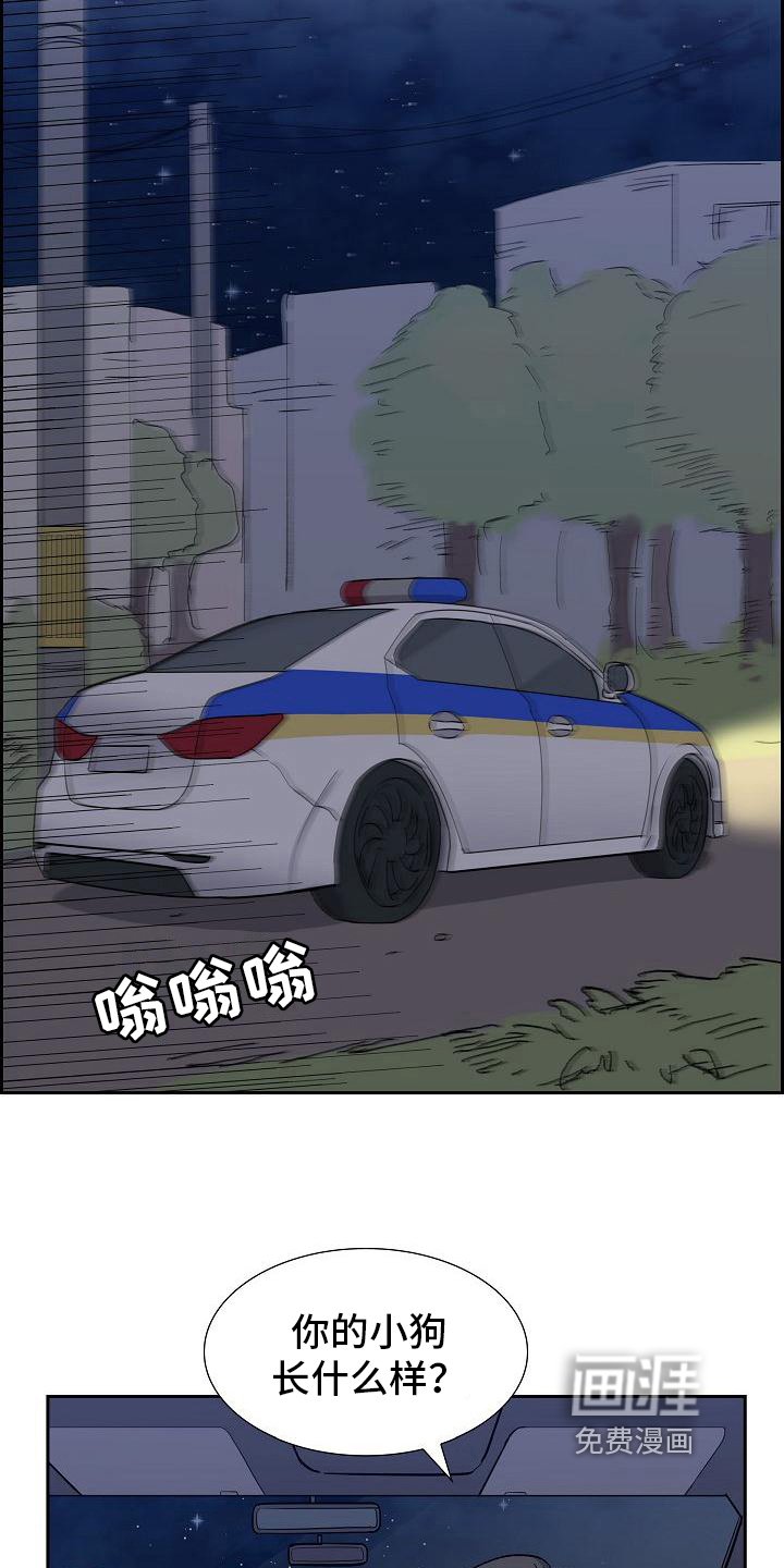 第17章：找狗
