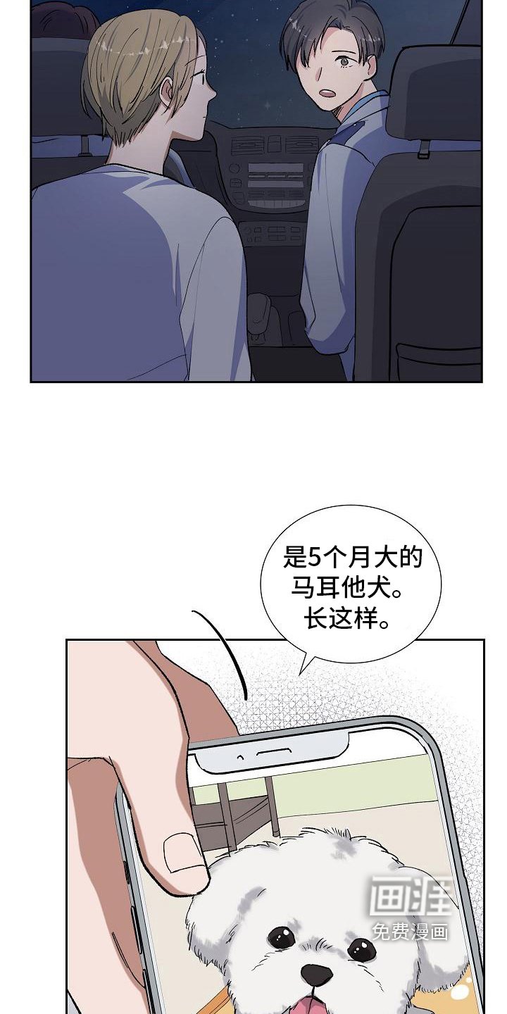 第17章：找狗