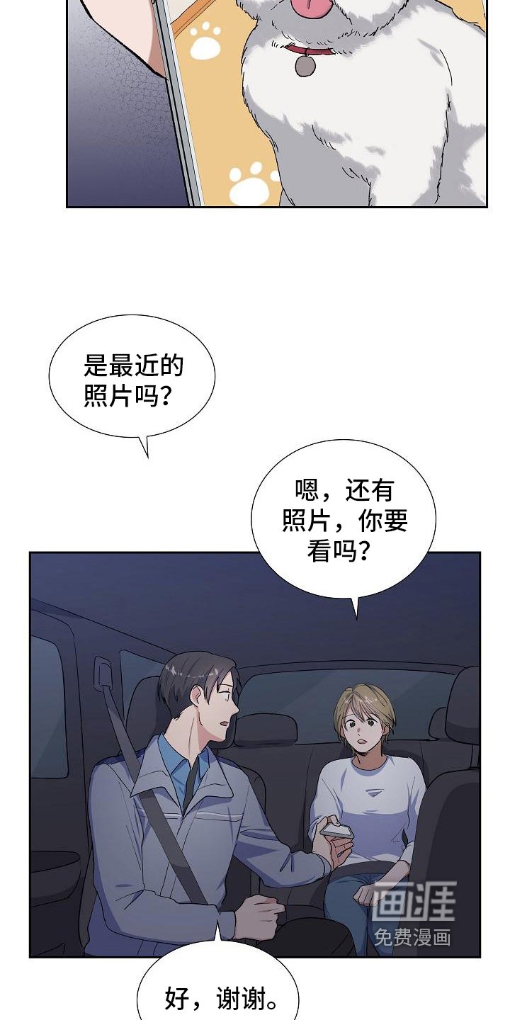 第17章：找狗