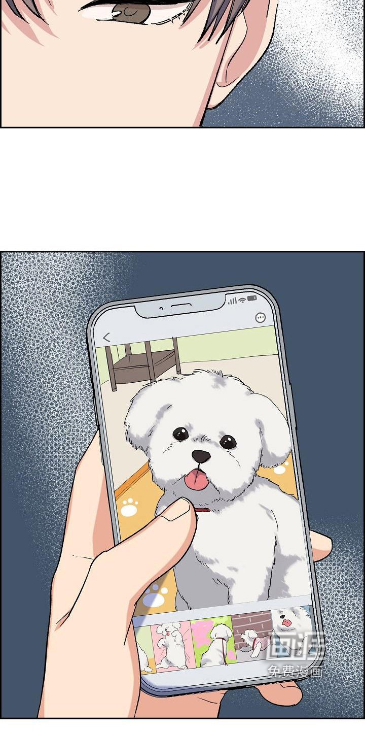 第17章：找狗