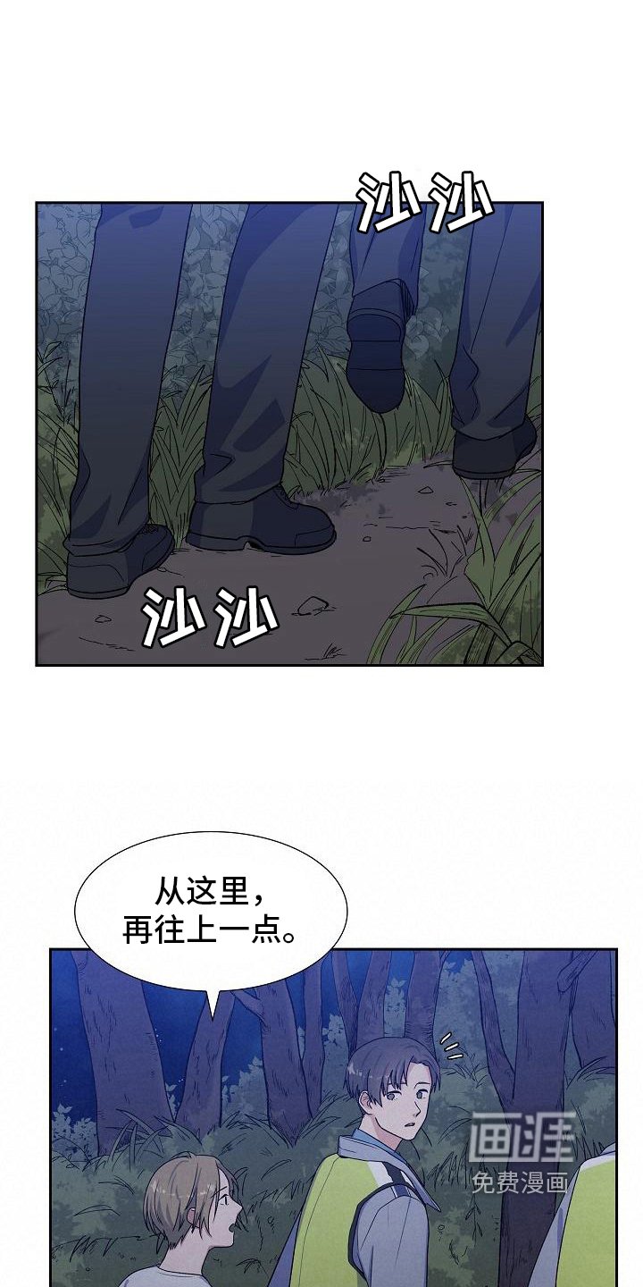 第17章：找狗