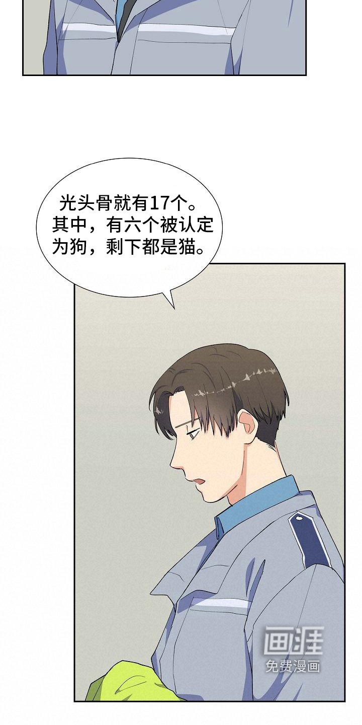 第19章：遇害