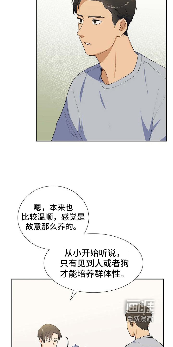 第20章：疑点