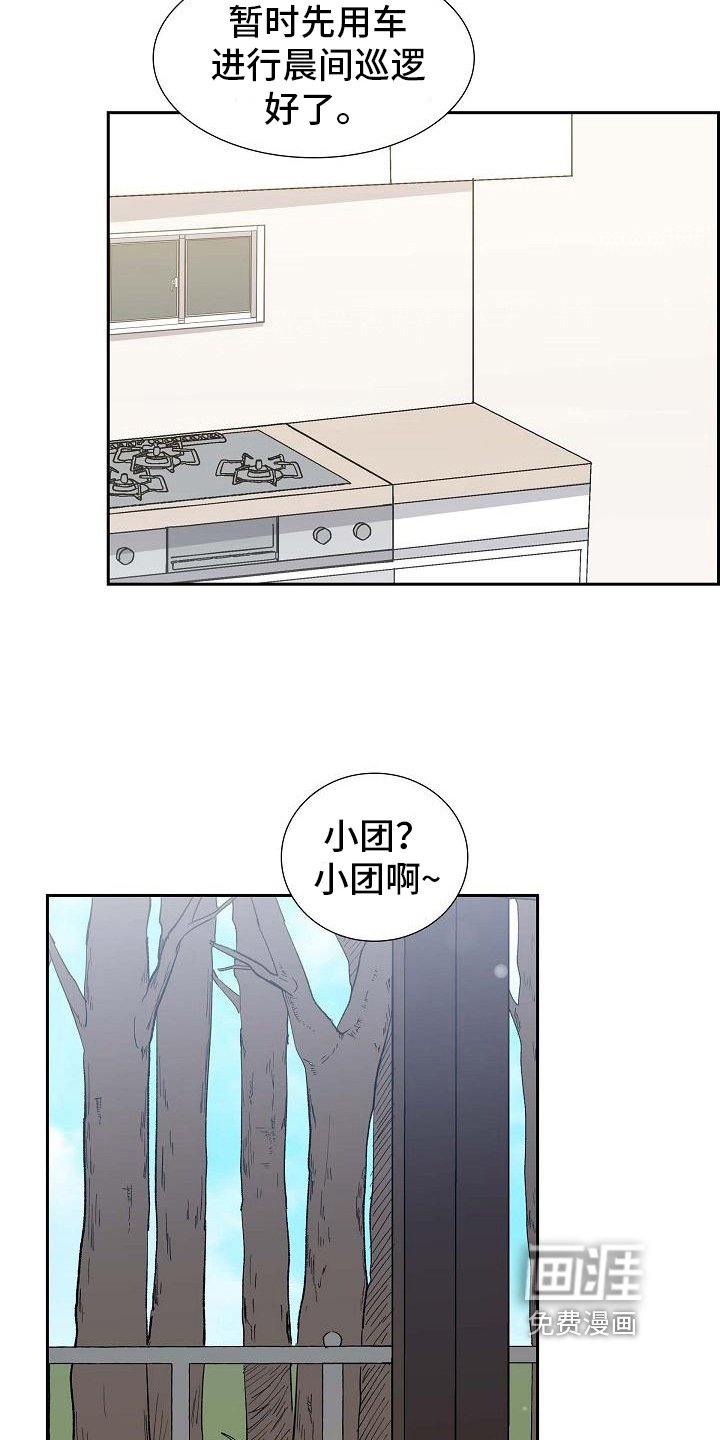 第21章：分析