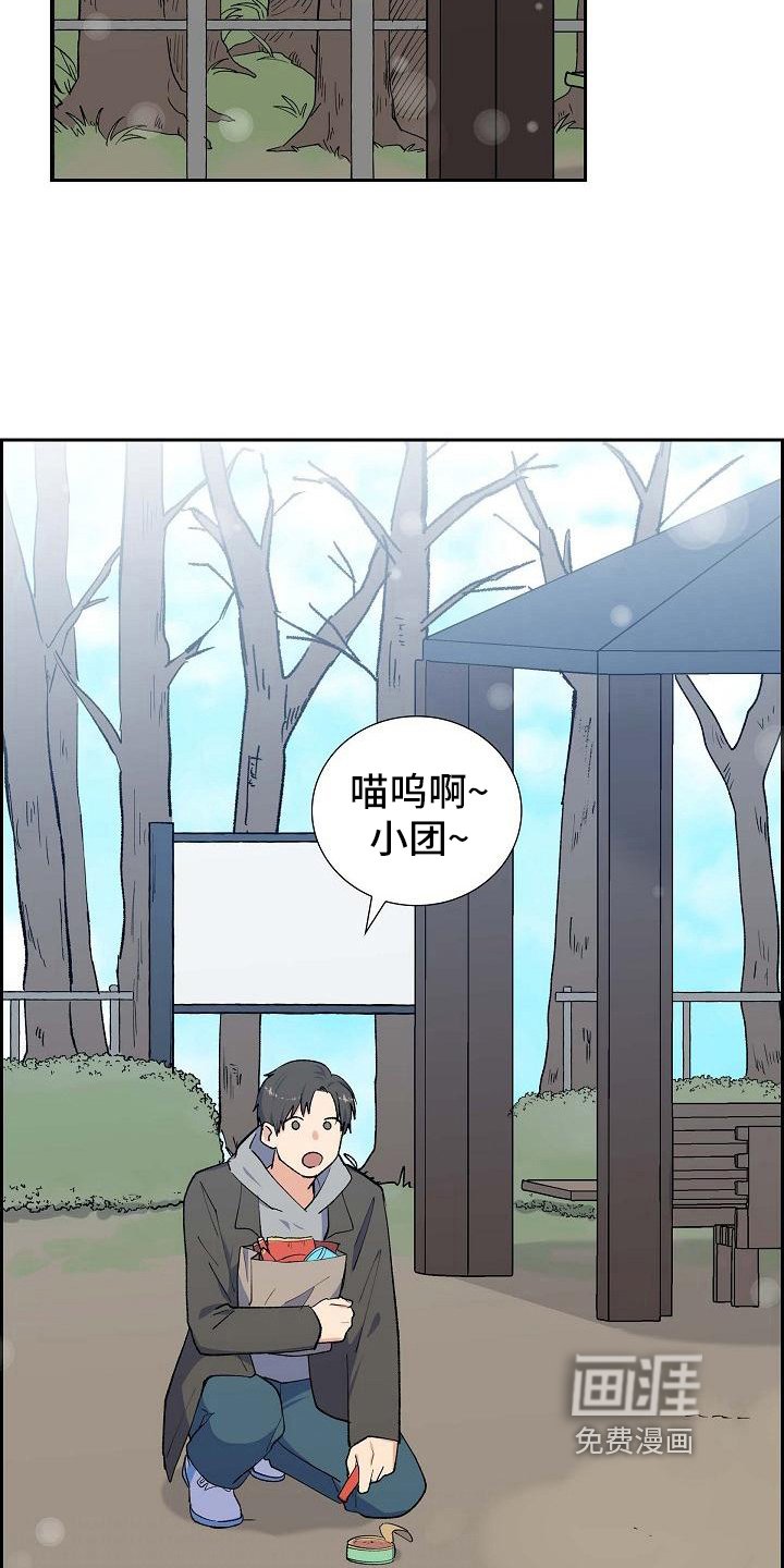 第21章：分析