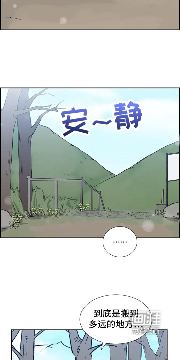 第21章：分析