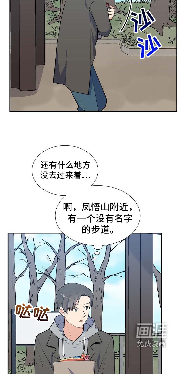 第21章：分析