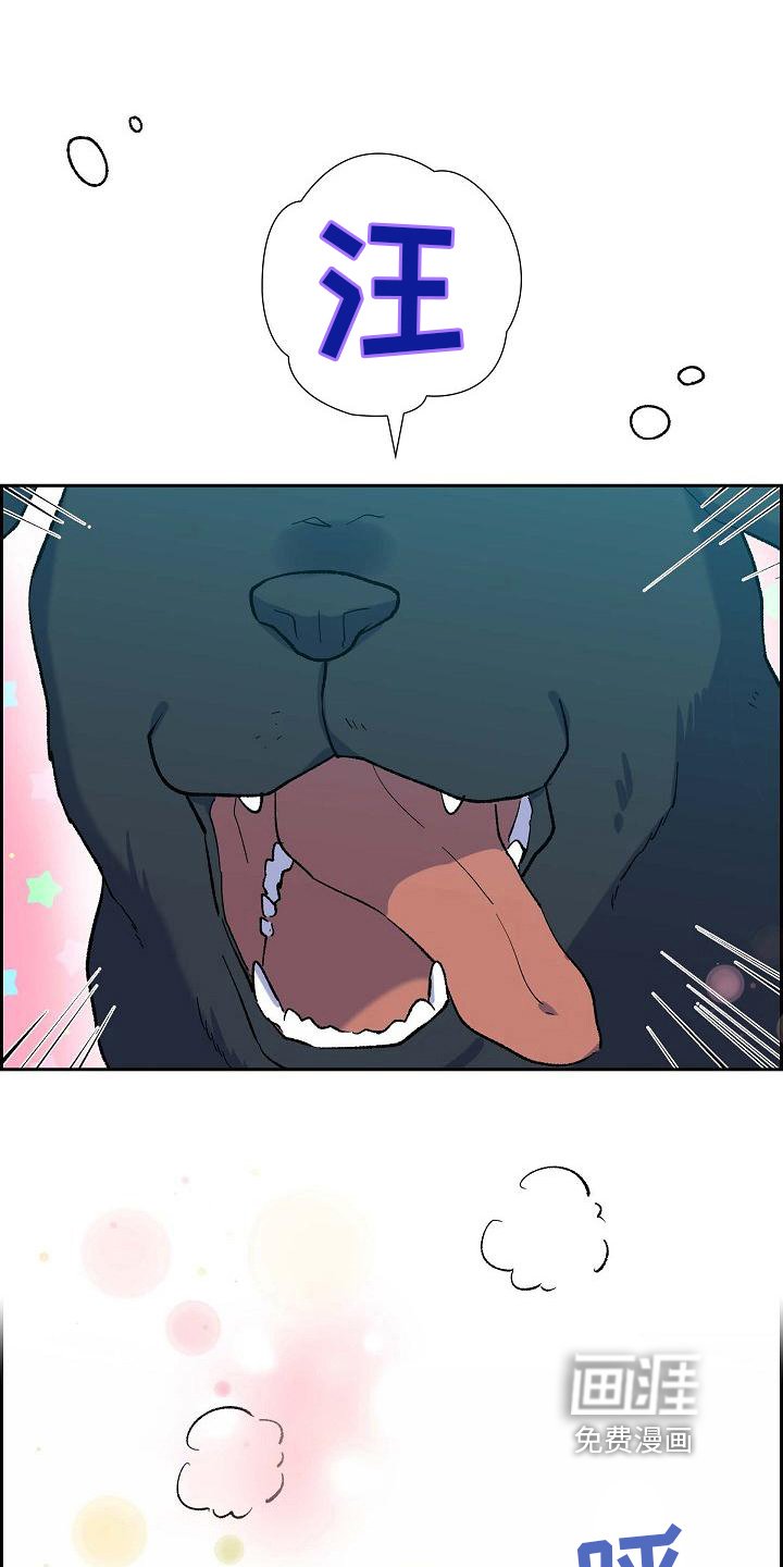 第23章：相似