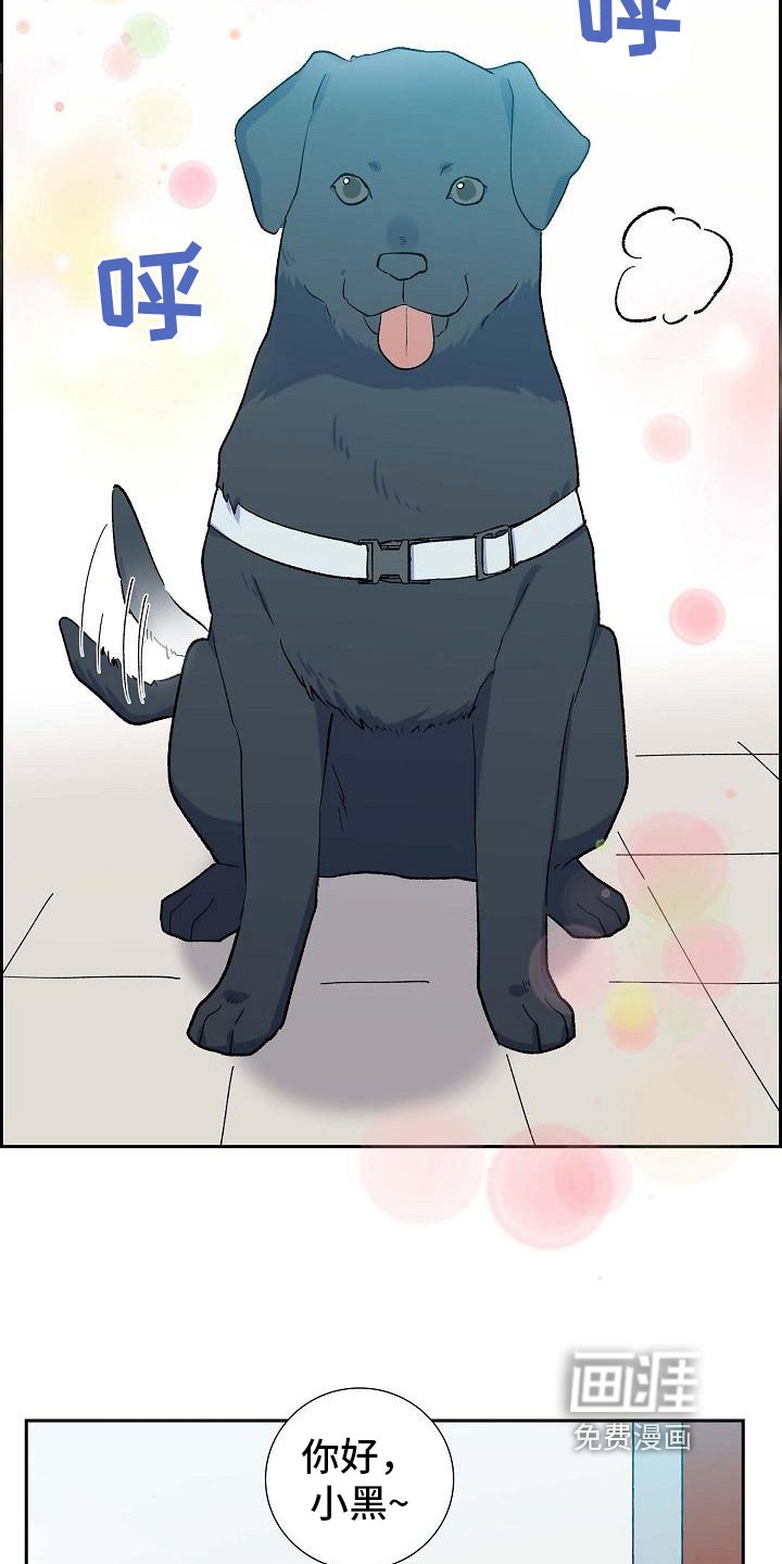 第23章：相似