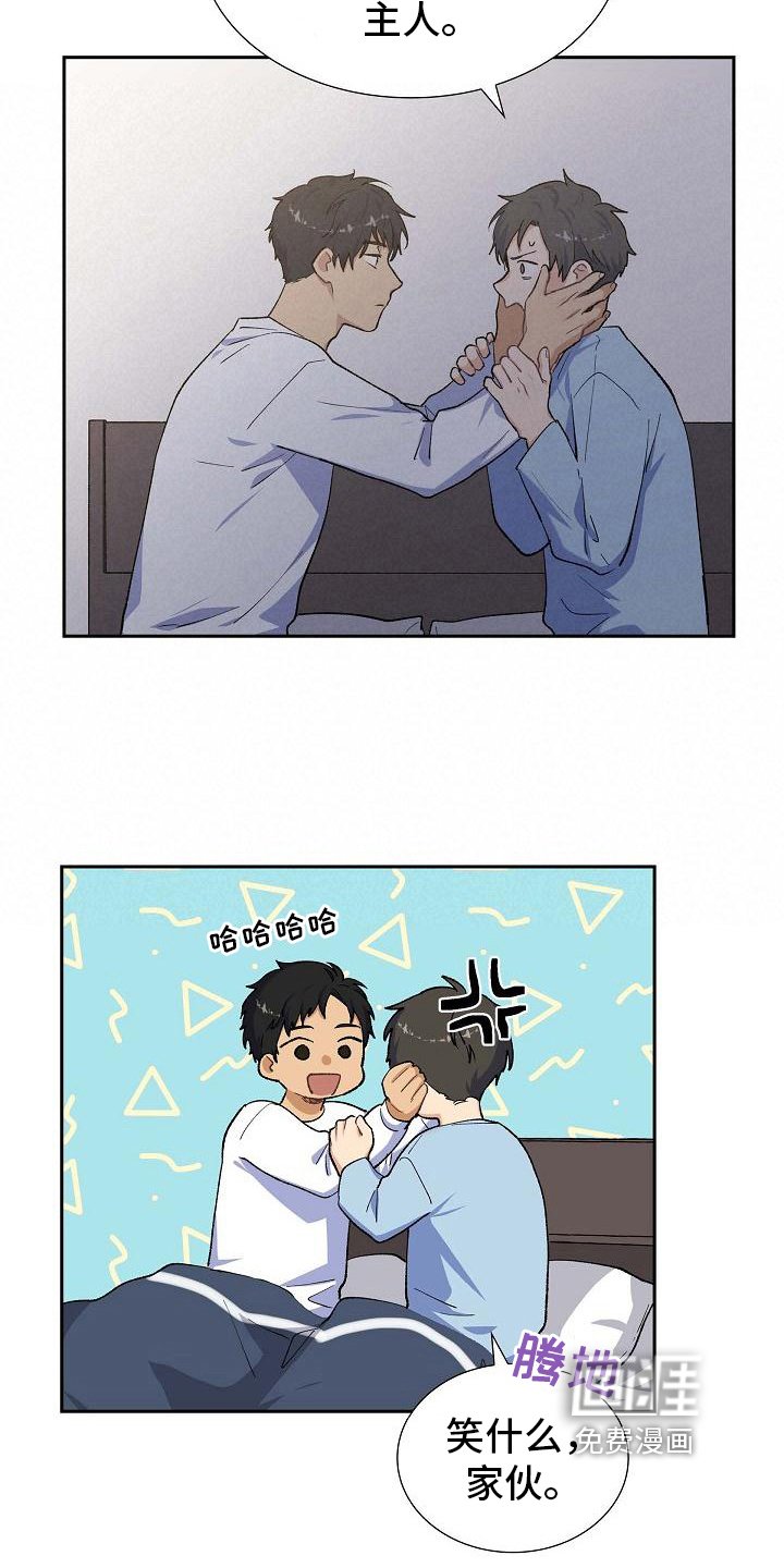 第25章：安排