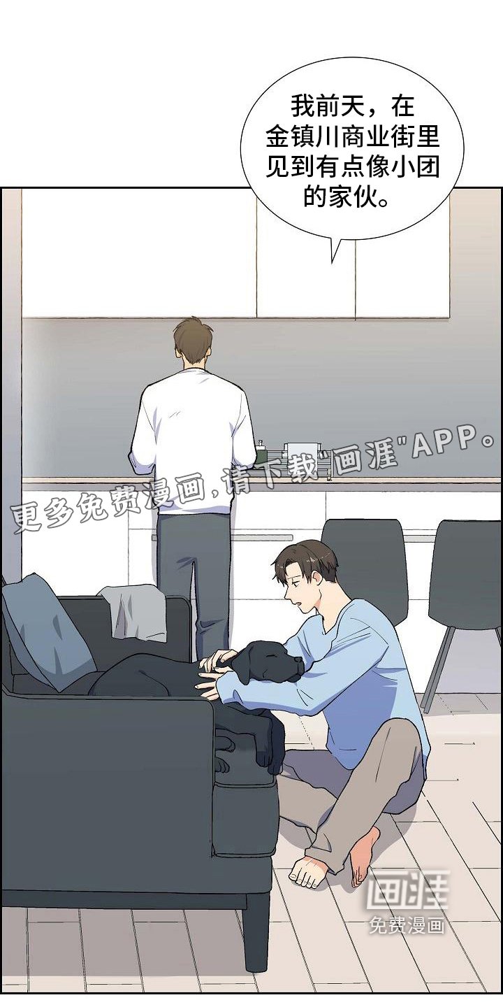 第26章：猜测