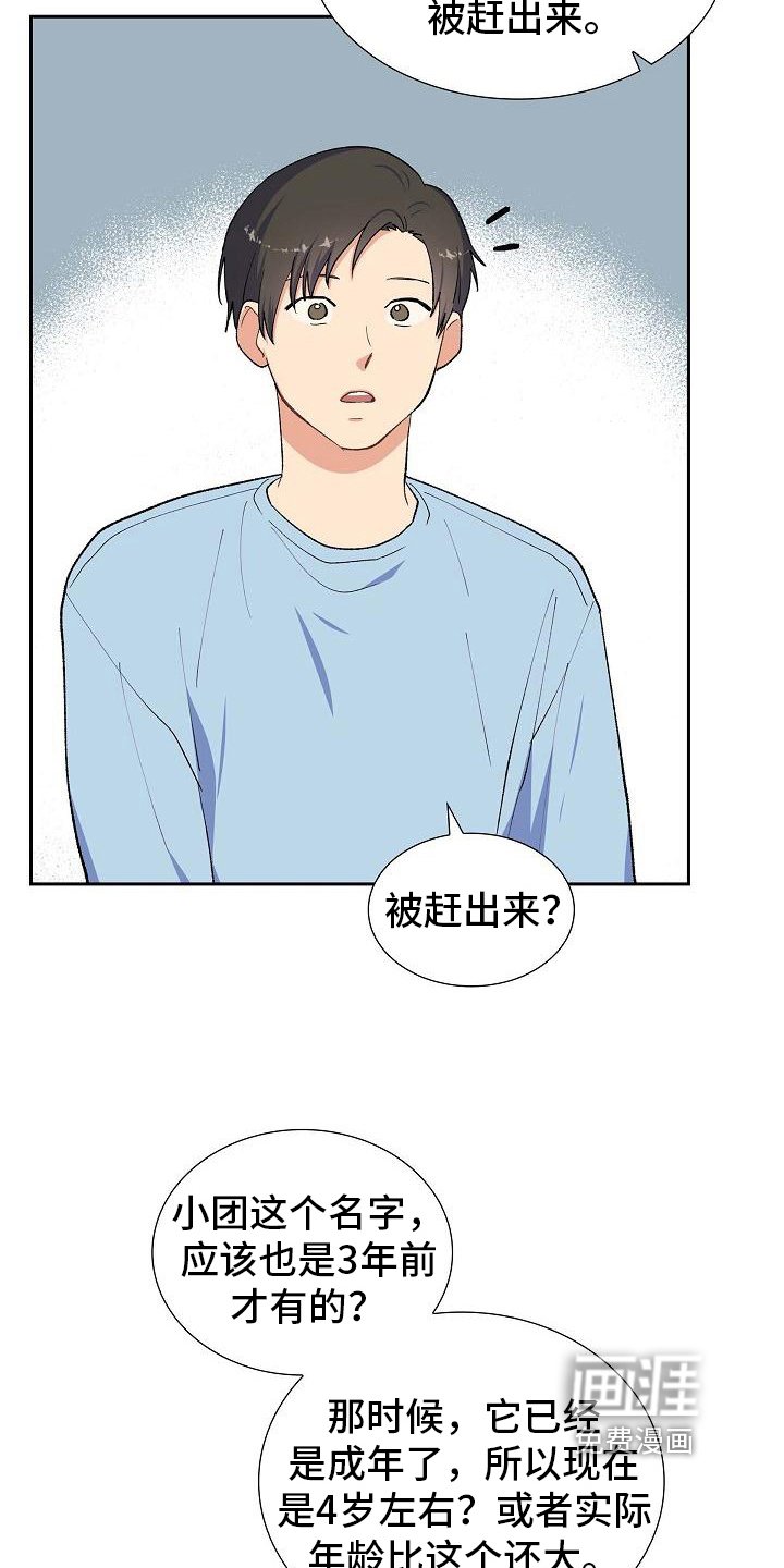第26章：猜测