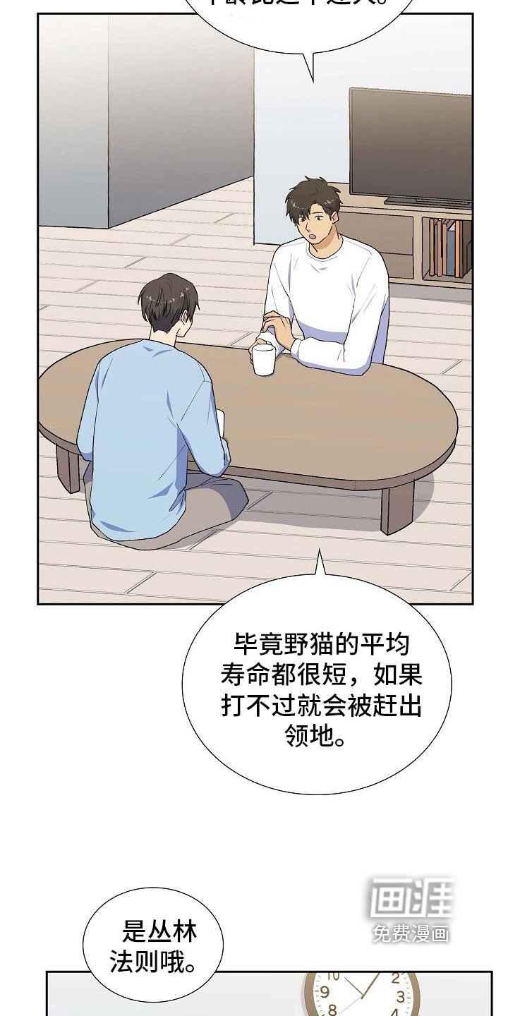 第26章：猜测