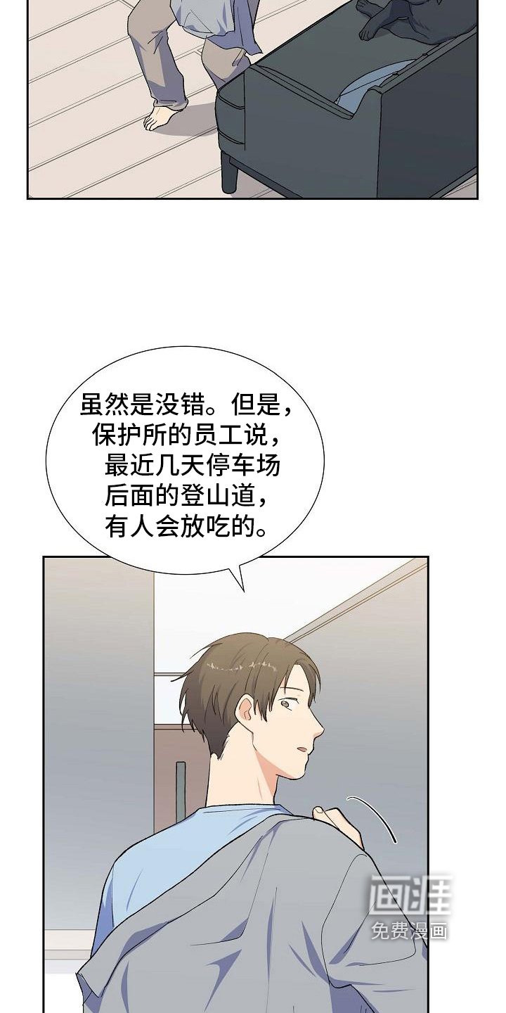 第26章：猜测