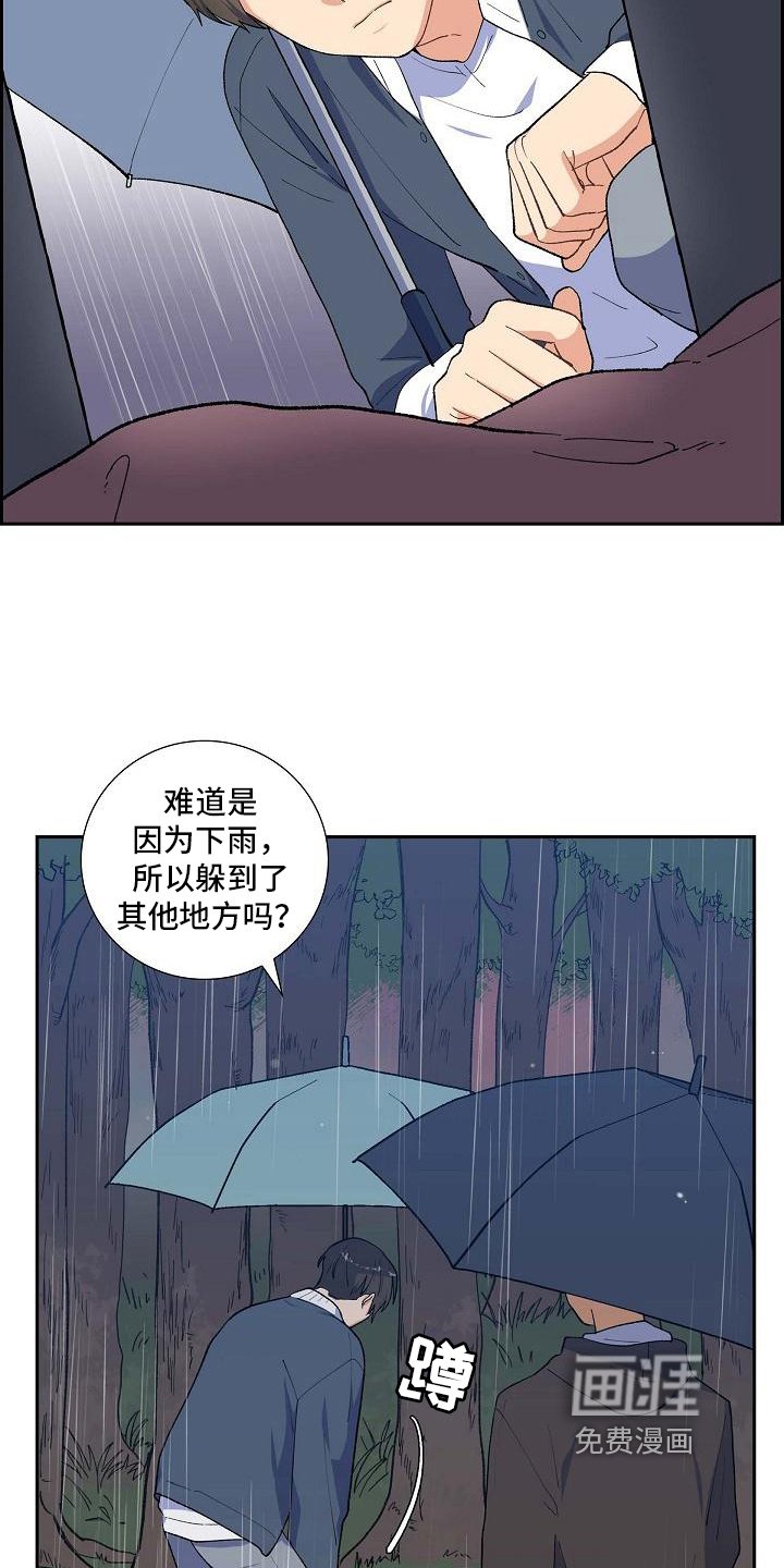 第26章：猜测
