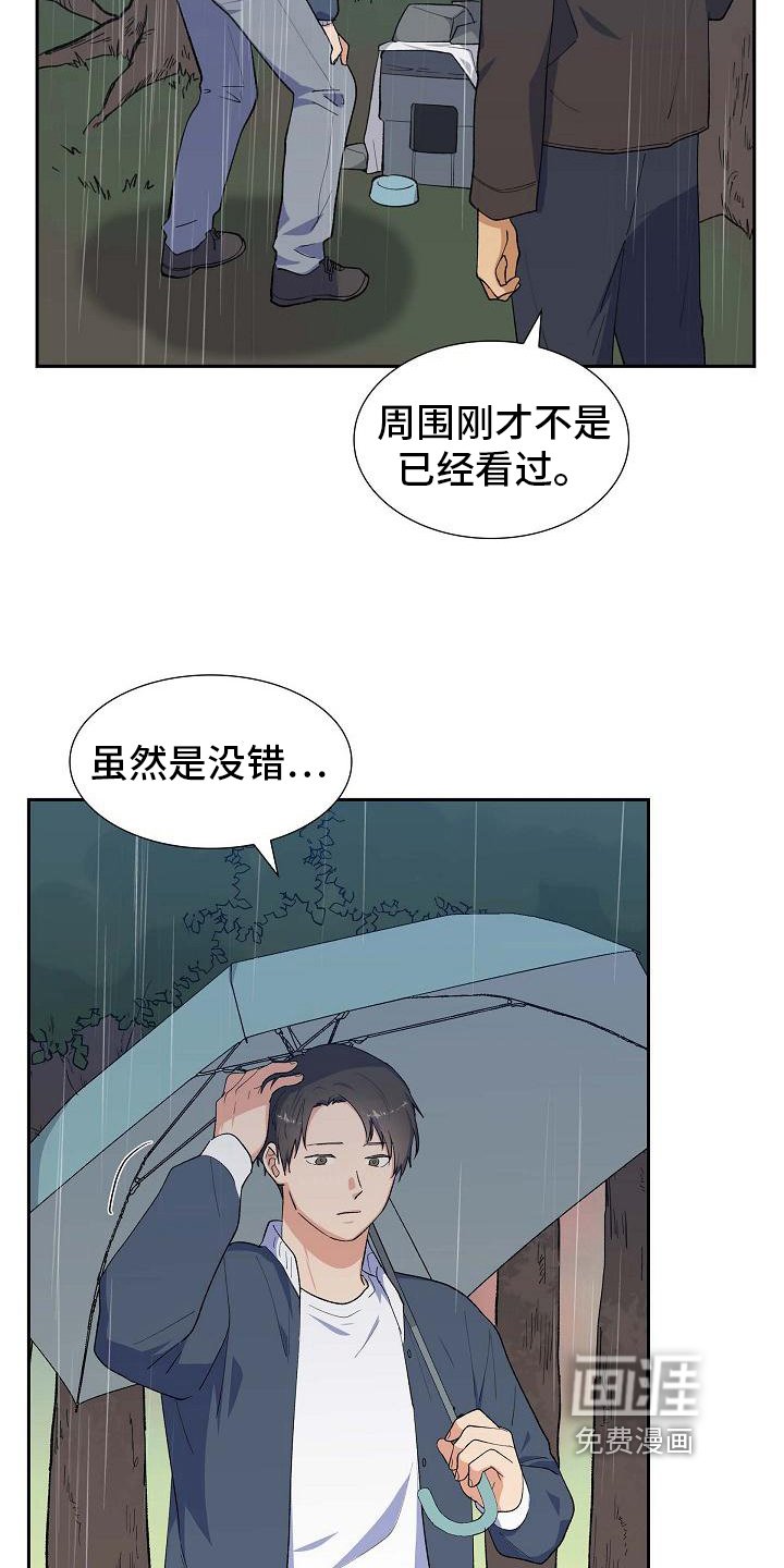 第26章：猜测