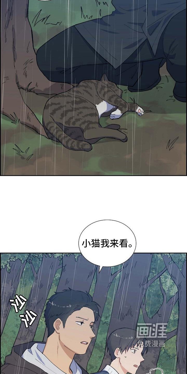第28章：追击