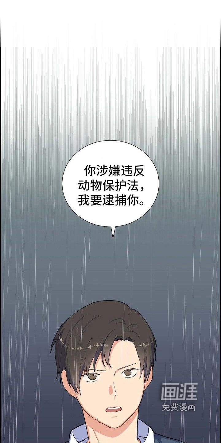 第28章：追击