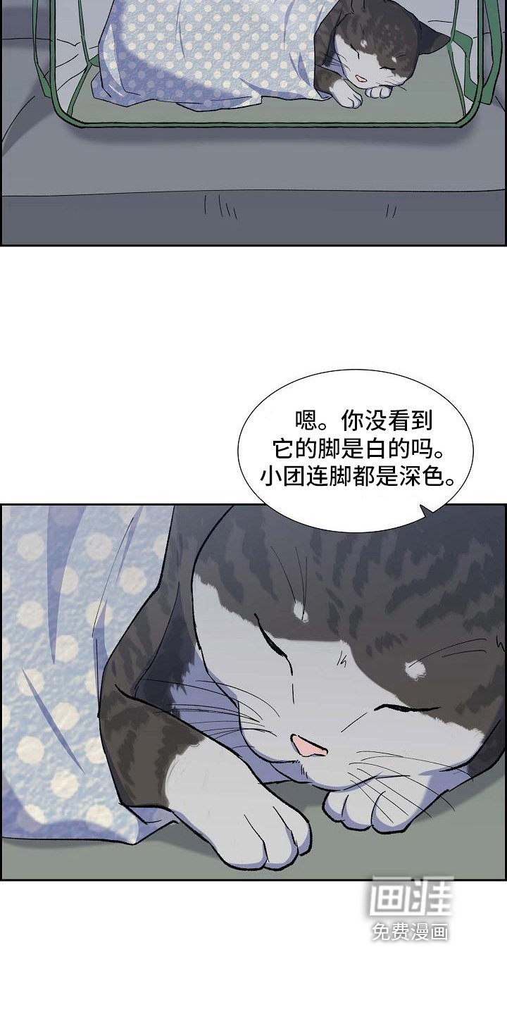 第30章：送医院