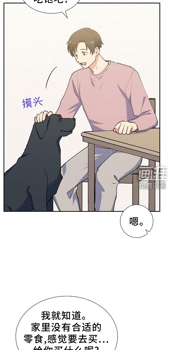 第33章：零食