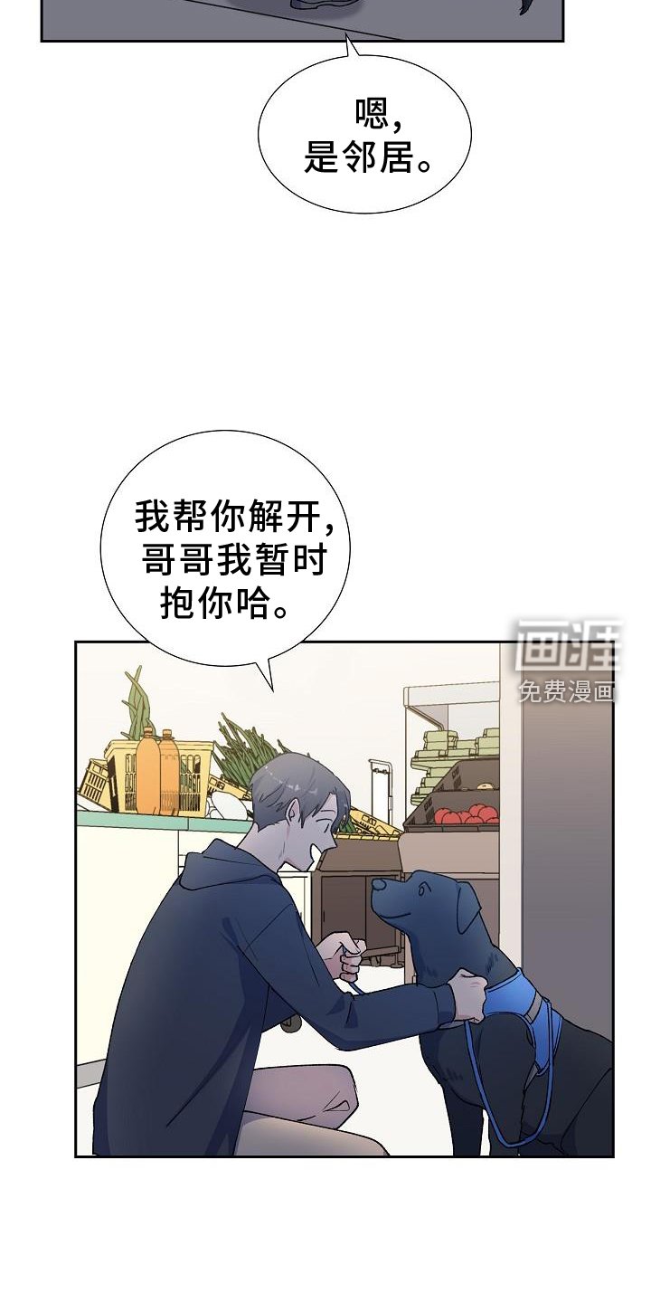 第33章：零食