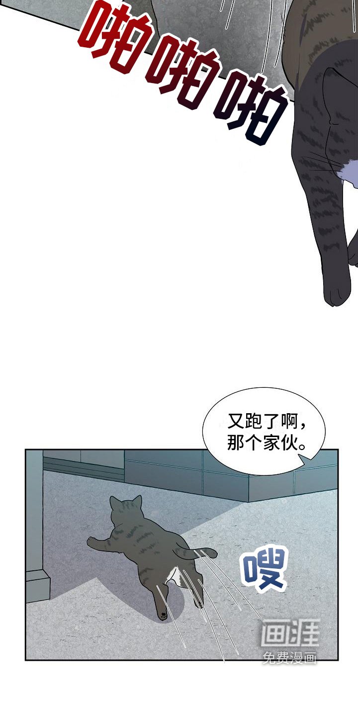 第4章：小团