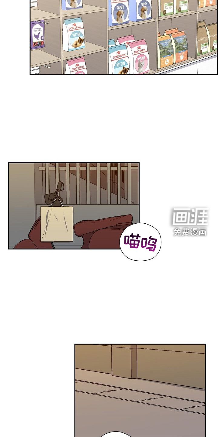 第41章：捕获