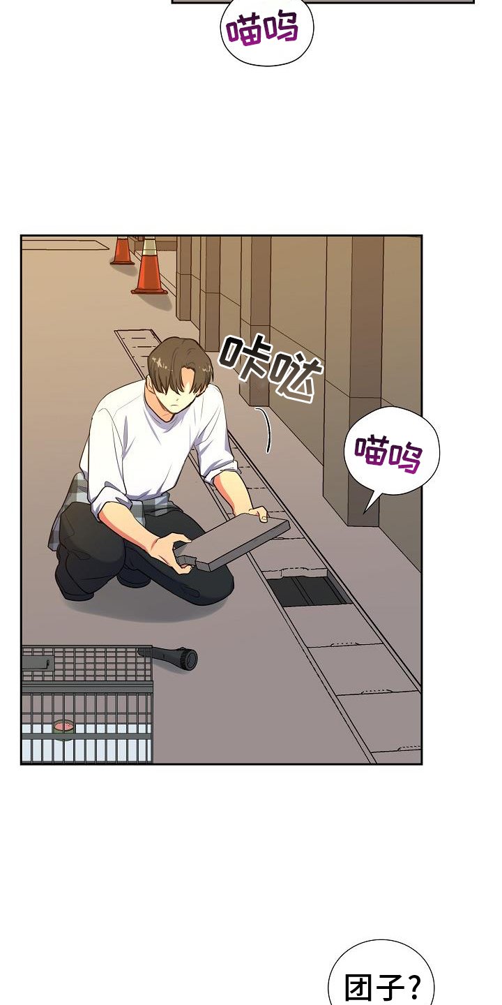 第41章：捕获