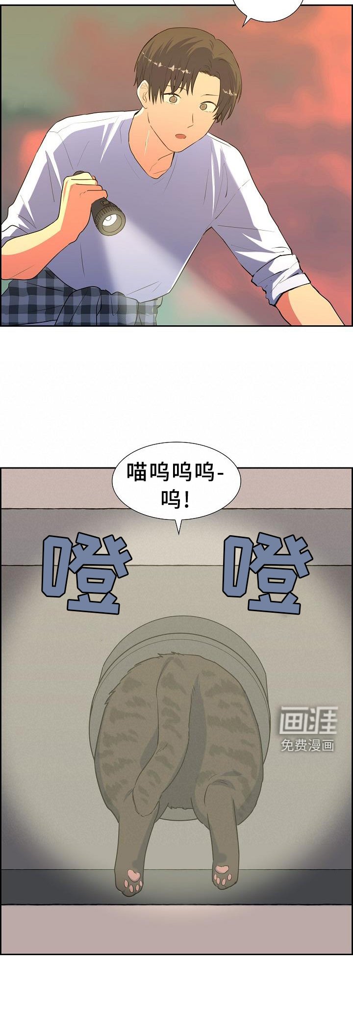 第41章：捕获