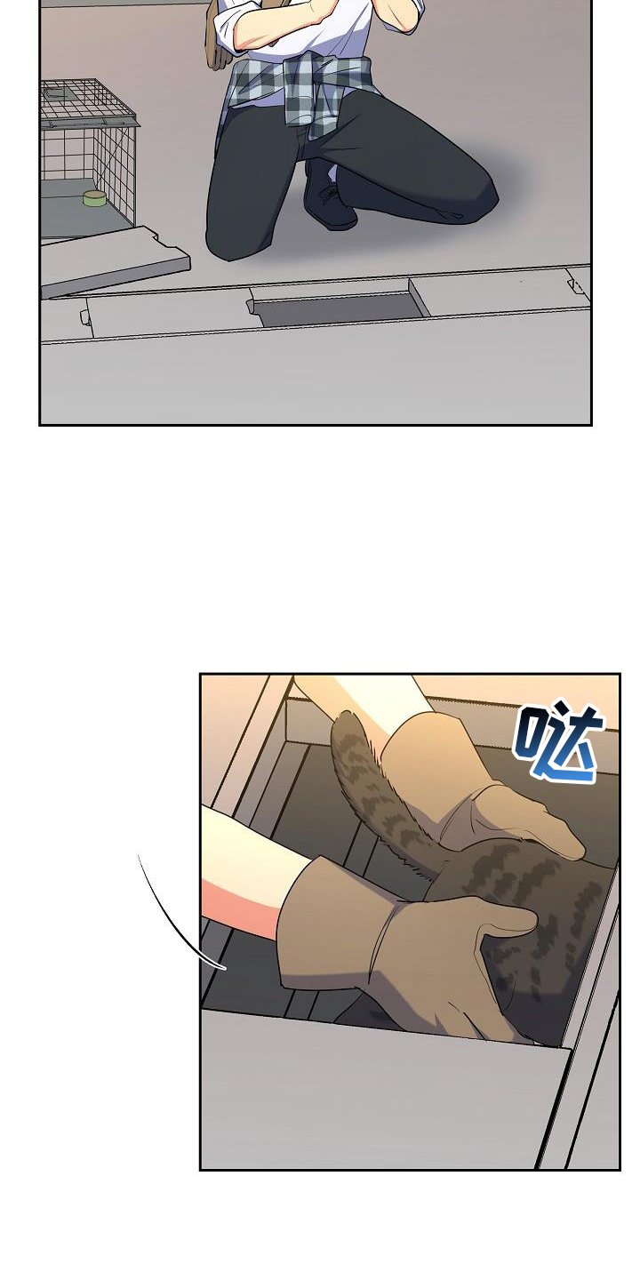 第41章：捕获