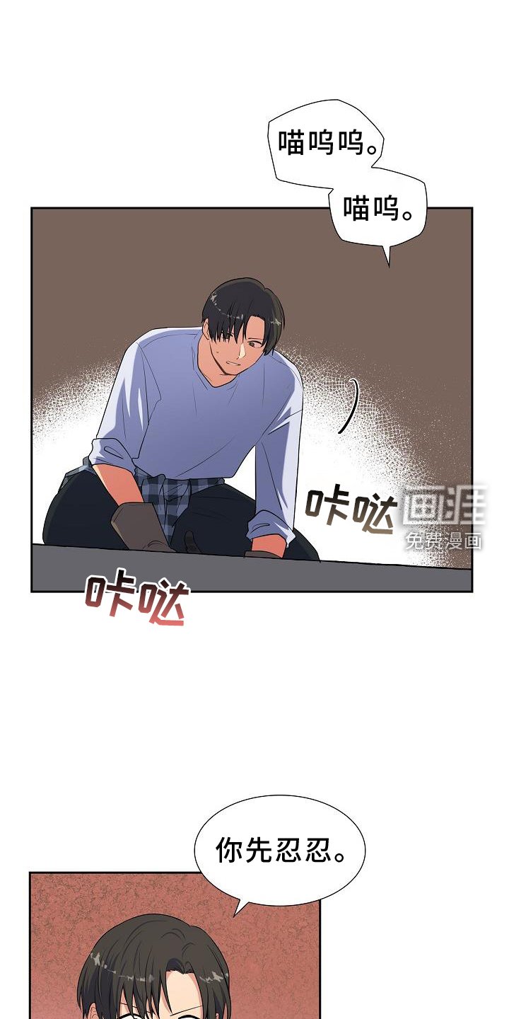 第41章：捕获
