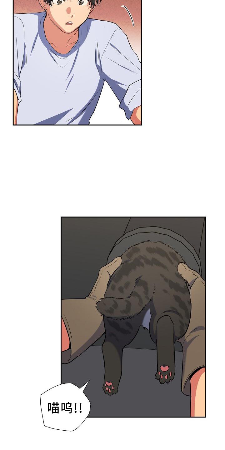 第41章：捕获