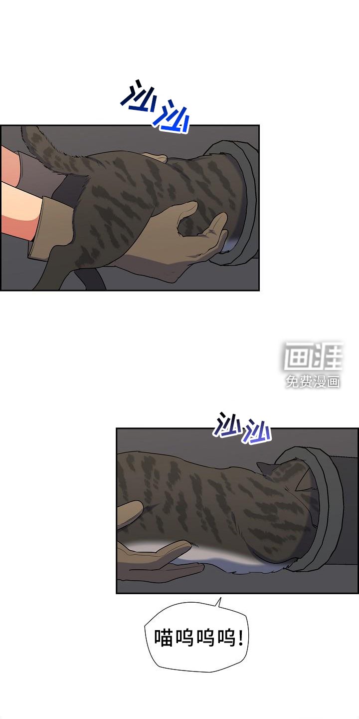第41章：捕获