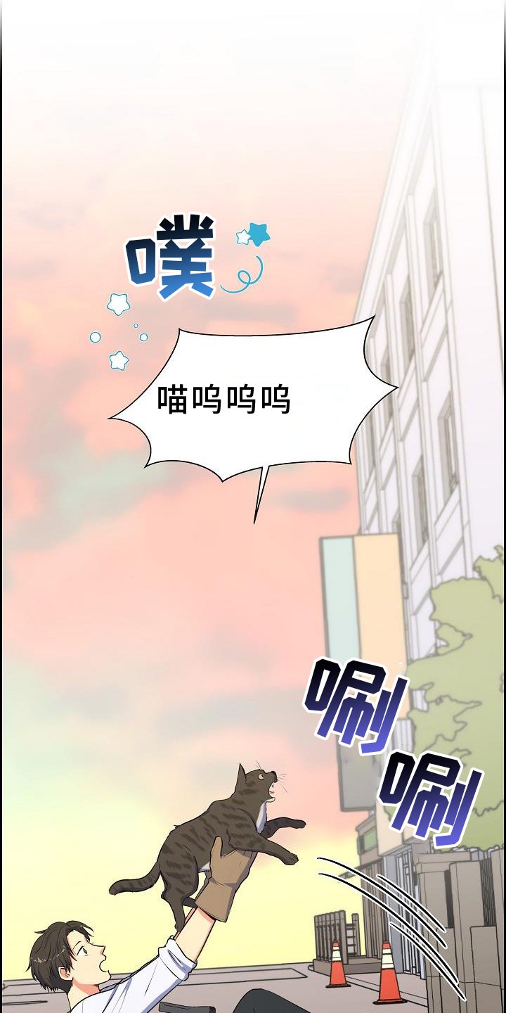 第41章：捕获