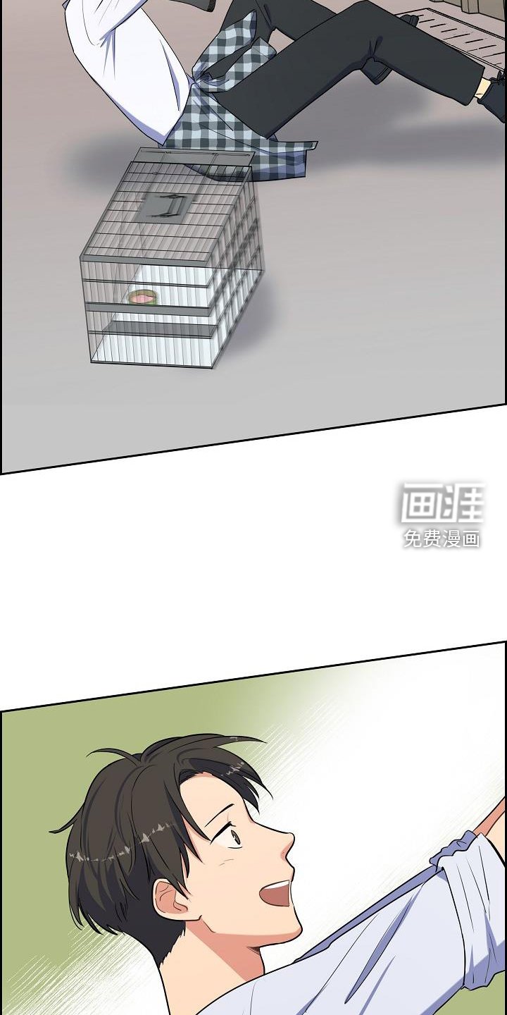 第41章：捕获