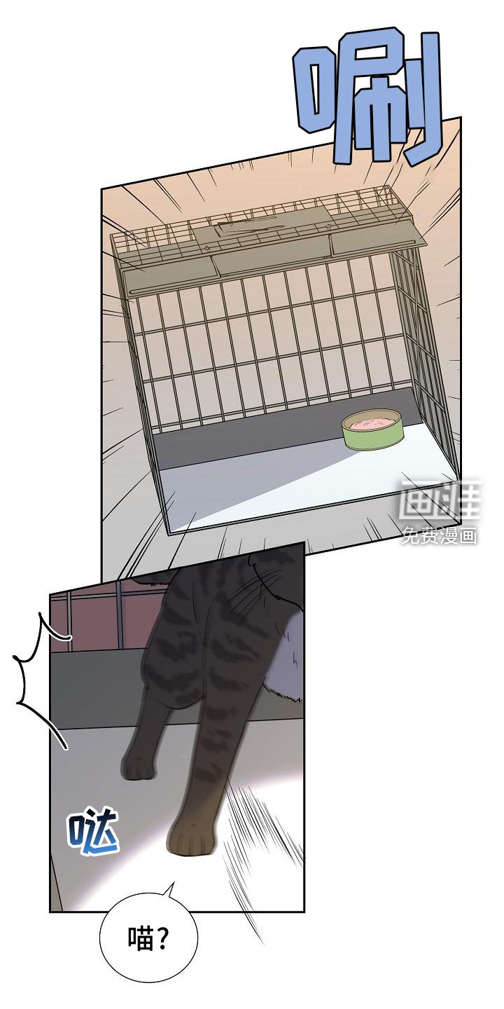 第41章：捕获