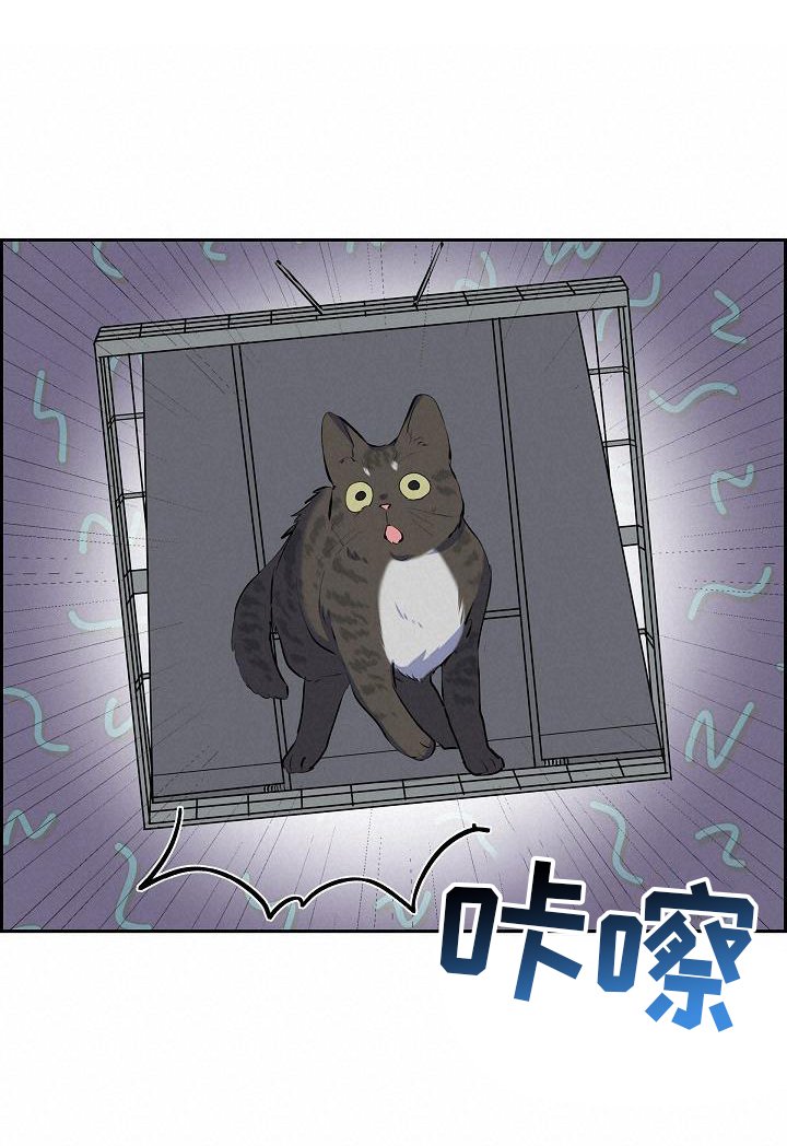 第41章：捕获