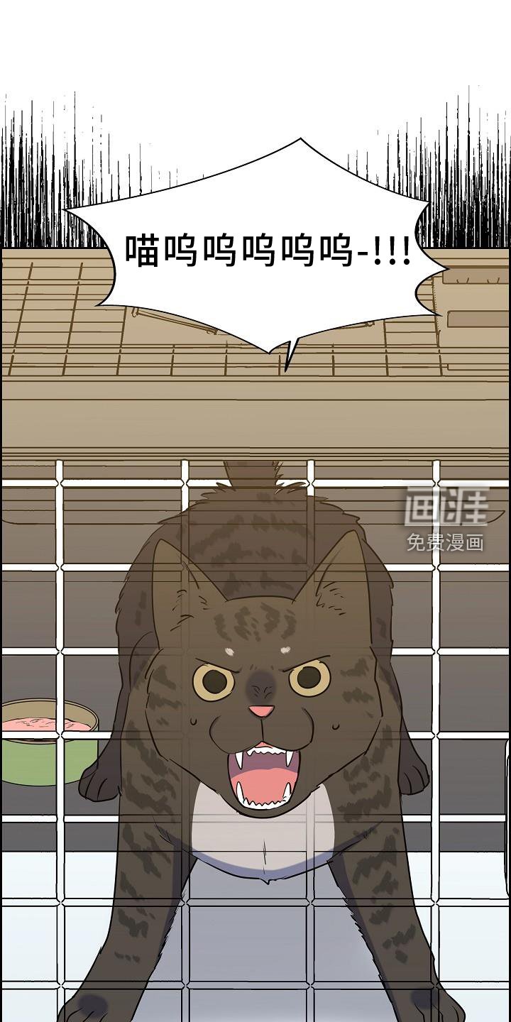 第41章：捕获