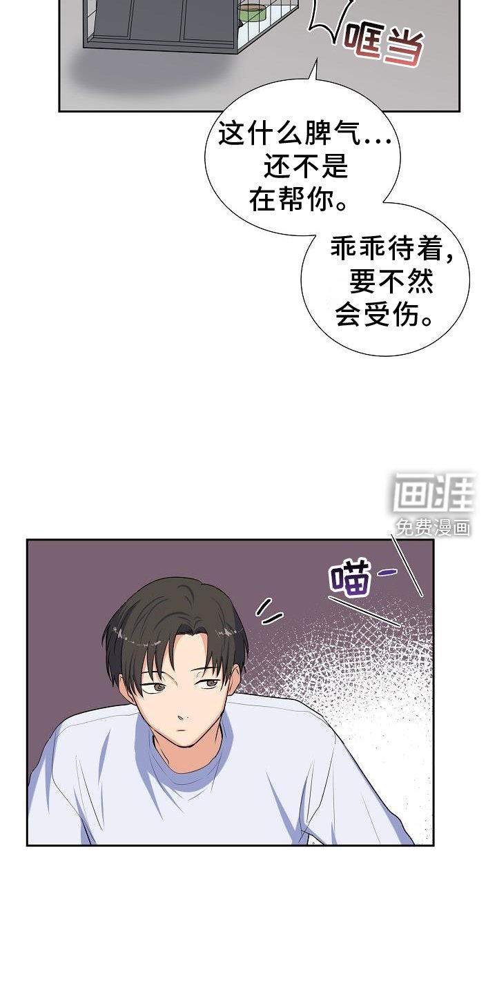 第41章：捕获