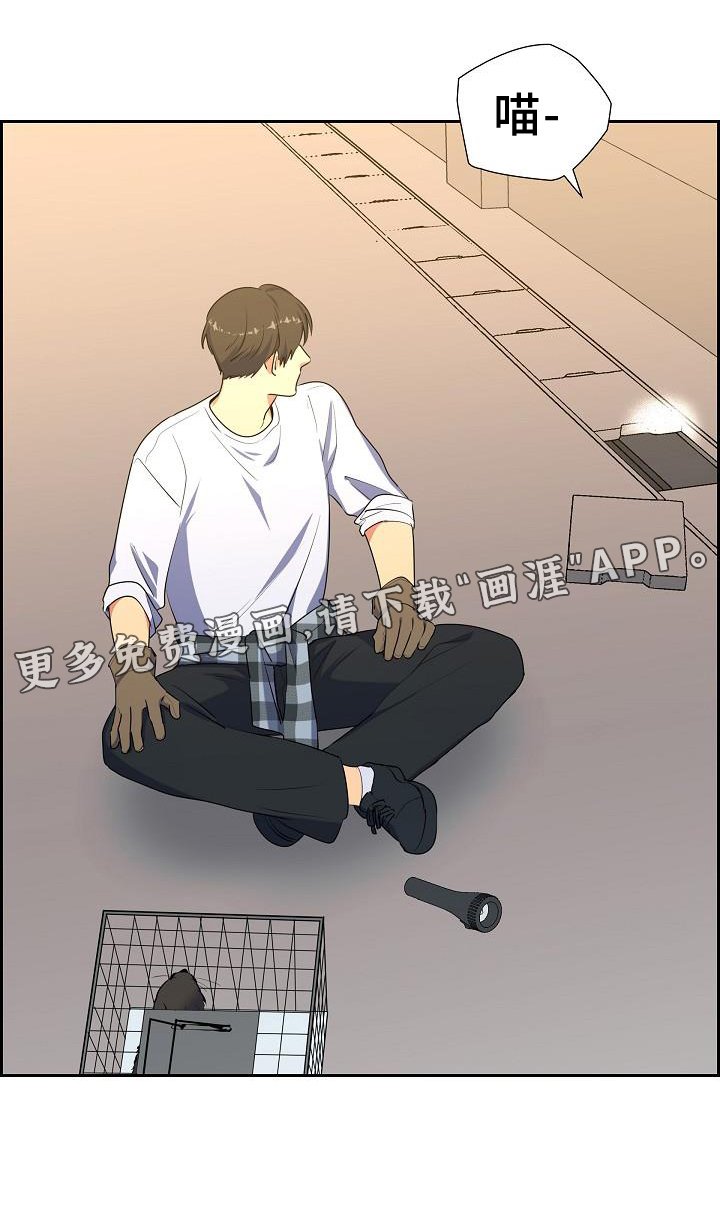 第41章：捕获