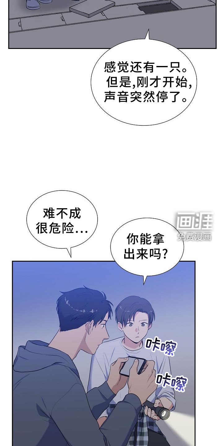 第42章：救助