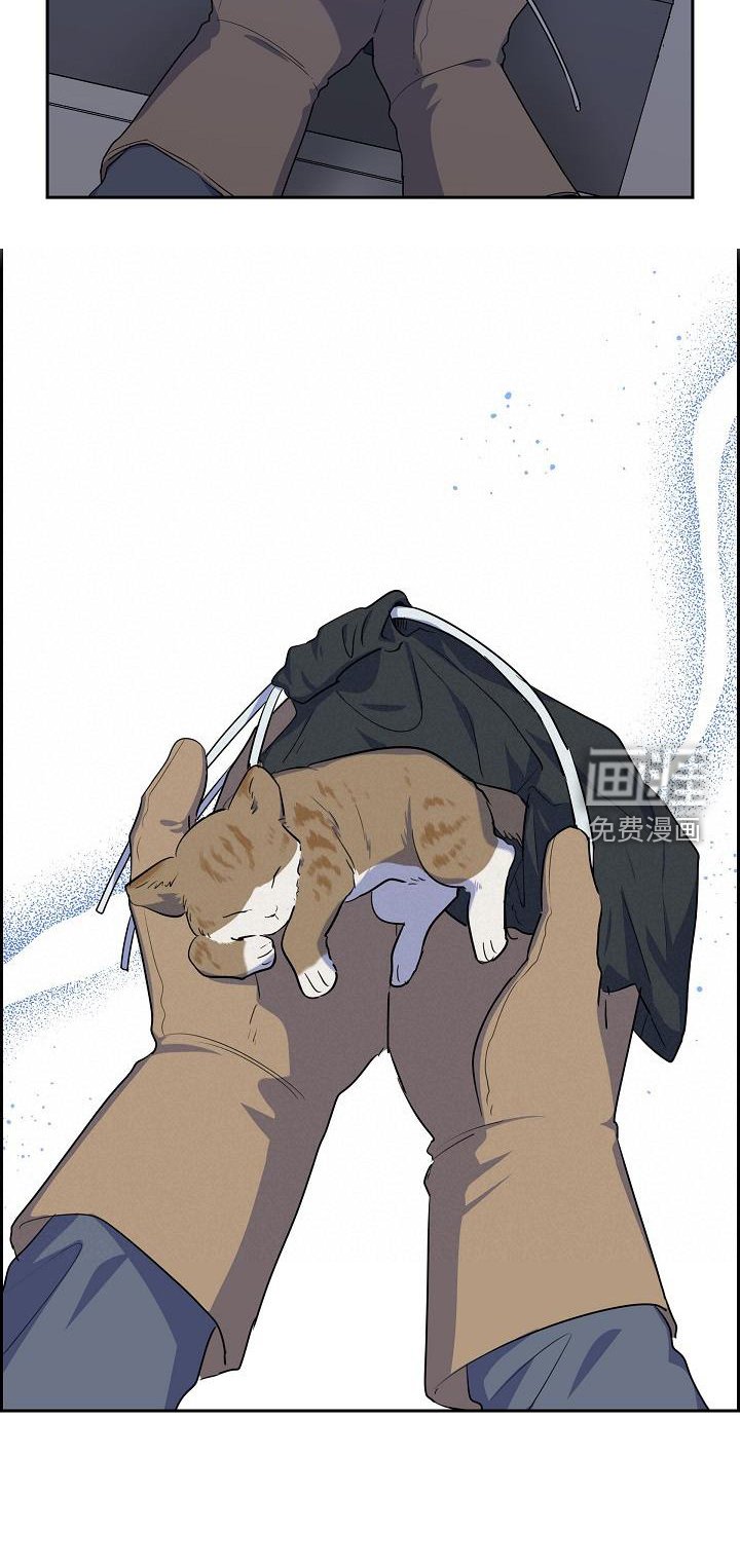 第42章：救助