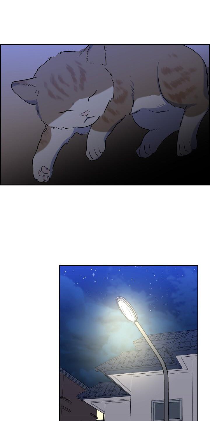 第42章：救助