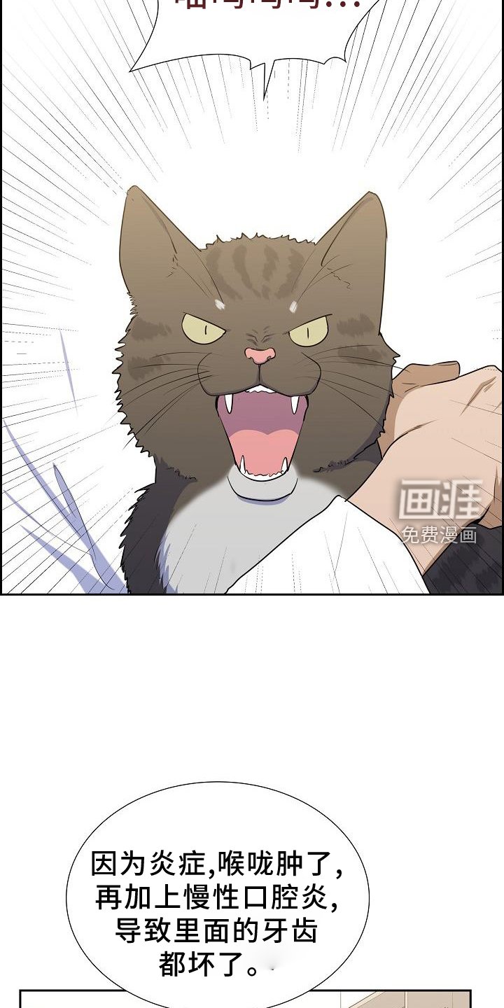 第43章：照顾