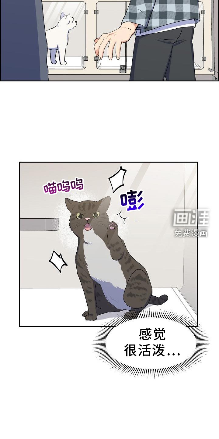 第44章：歇息