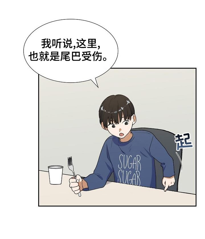 第50章：消息