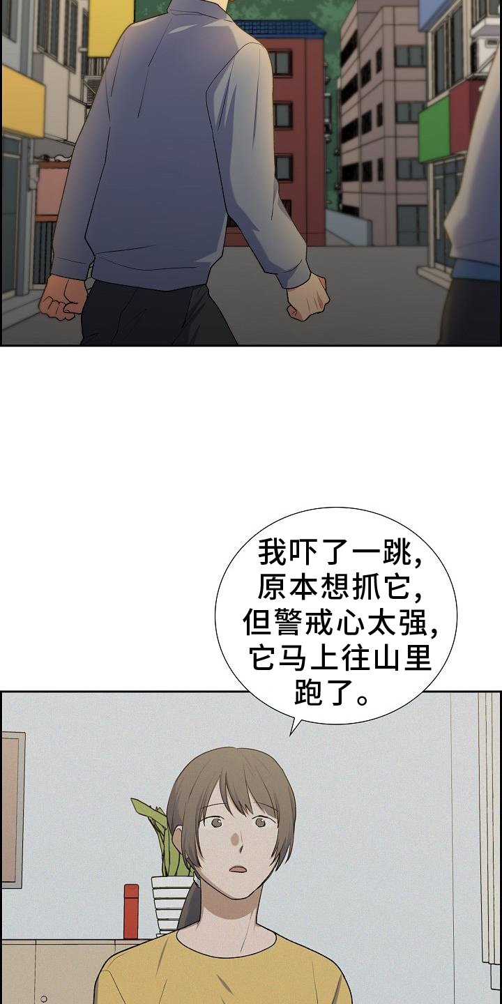 第52章：盯防