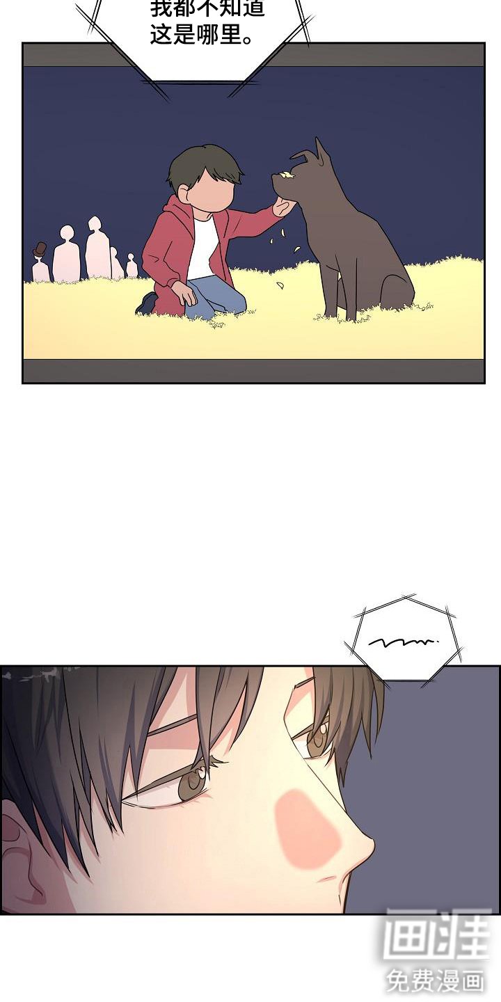 第55章：看电视
