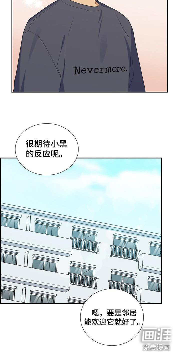 第62章：应该喜欢吧
